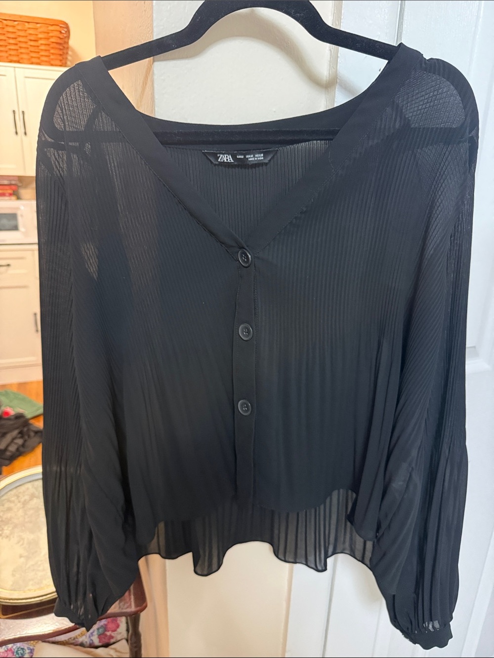 Zara Black Sheer Pleated Button-Front Blouse